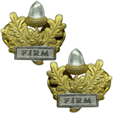 Korpusówka Armii Brytyjskiej - FIRM (1790302)
