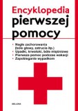 Książka 