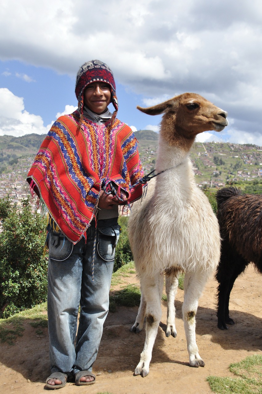 poncho peru lama